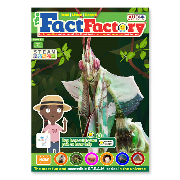 cover of the book 10 of The fact Factory UK ENGLISH