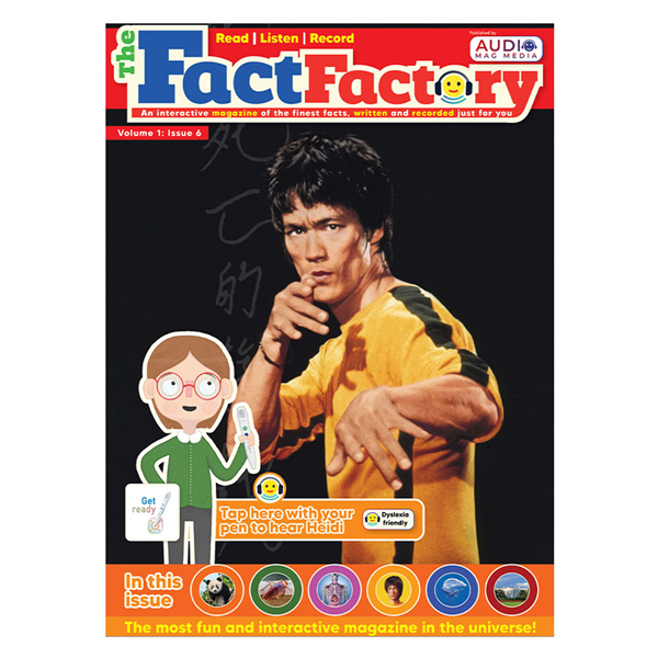 cover of the book 6 of The fact Factory US ENGLISH